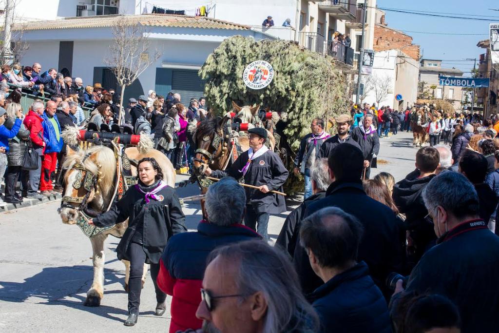 Fotografia Tres Tombs d’Anglesola – Laia Pedrós (Nova Tàrrega)